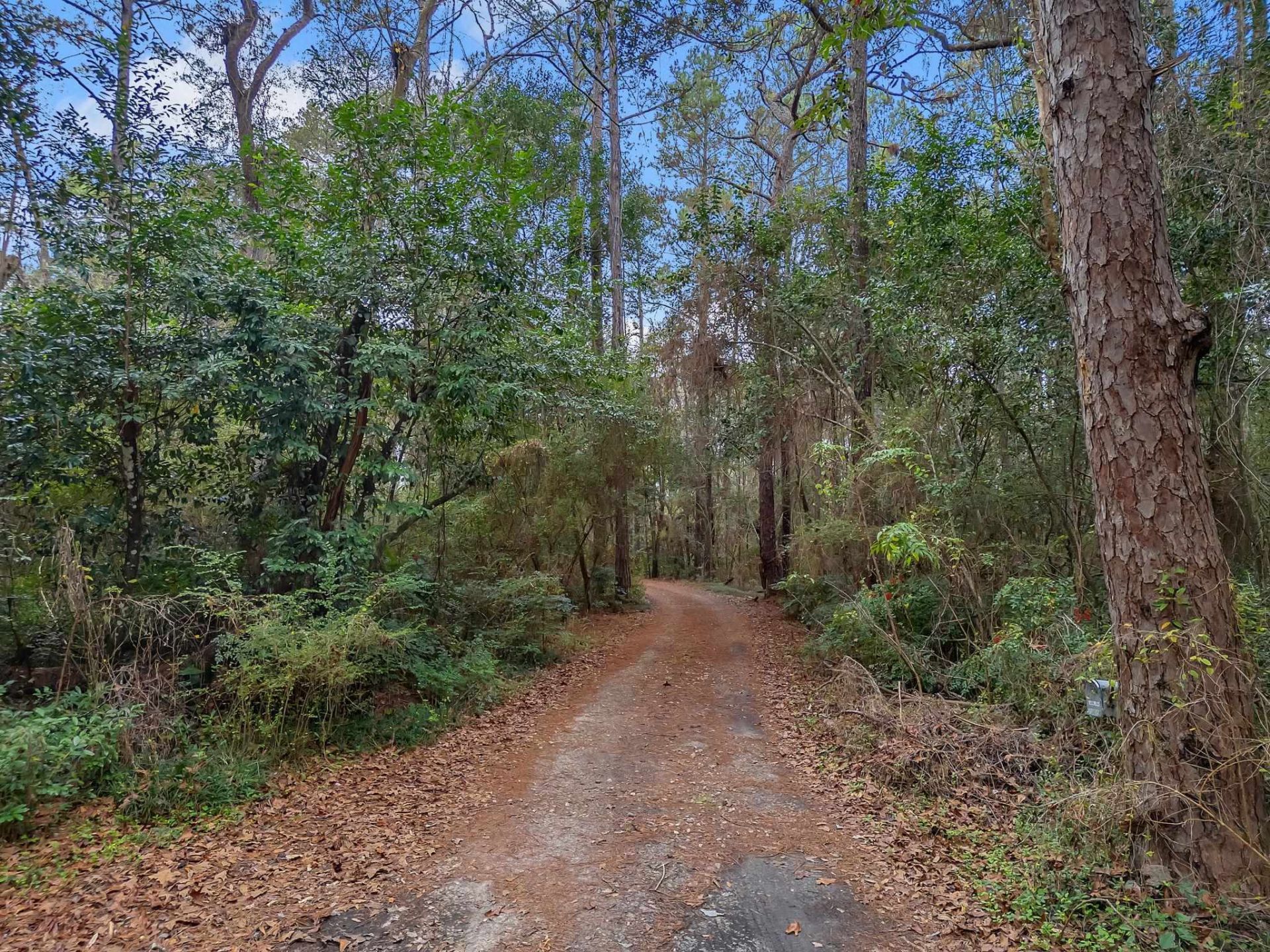 7091,7115+ Thomasville Road , Tallahassee, FL 32312 Photo