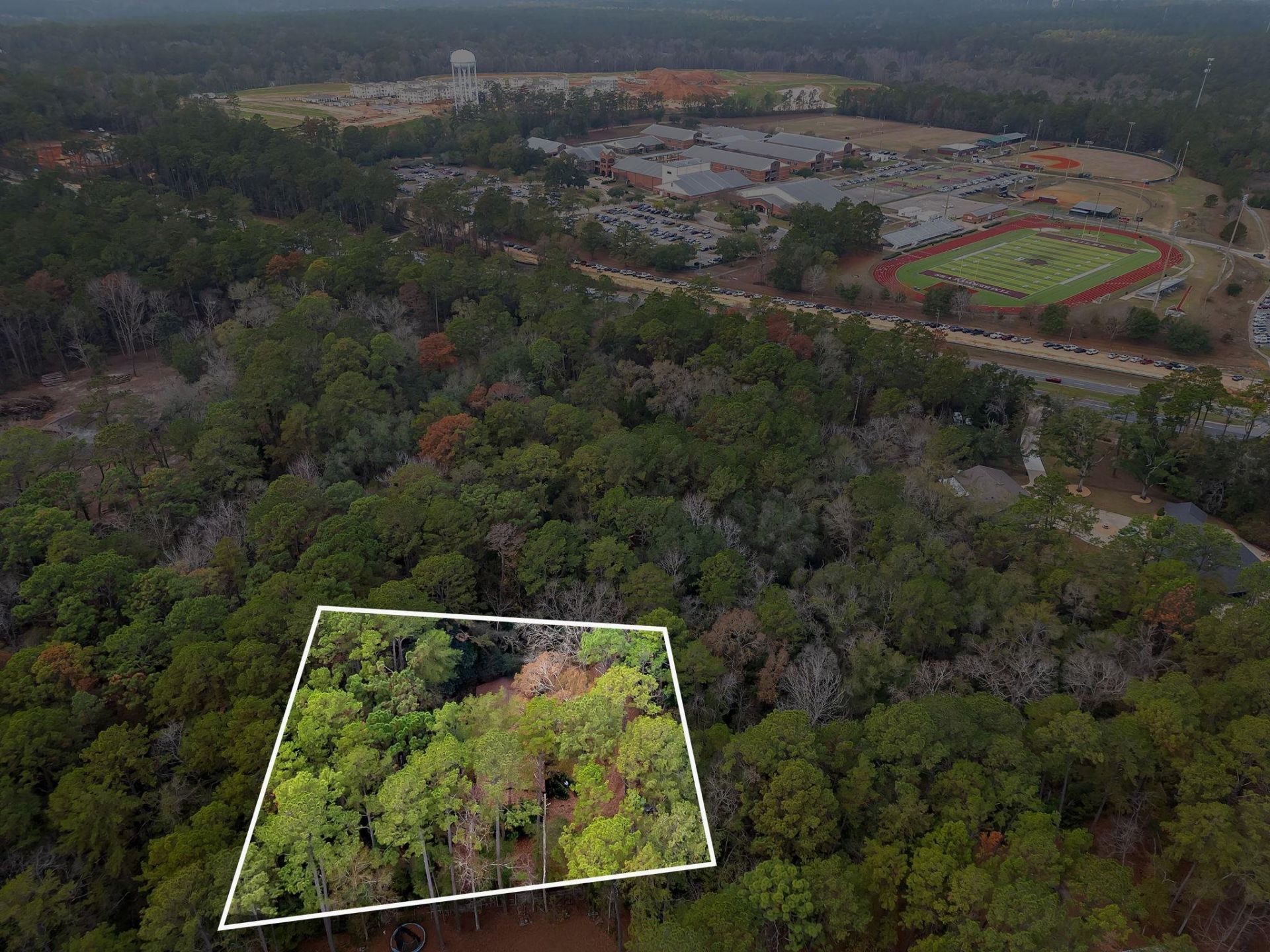7091,7115+ Thomasville Road , Tallahassee, FL 32312 Photo