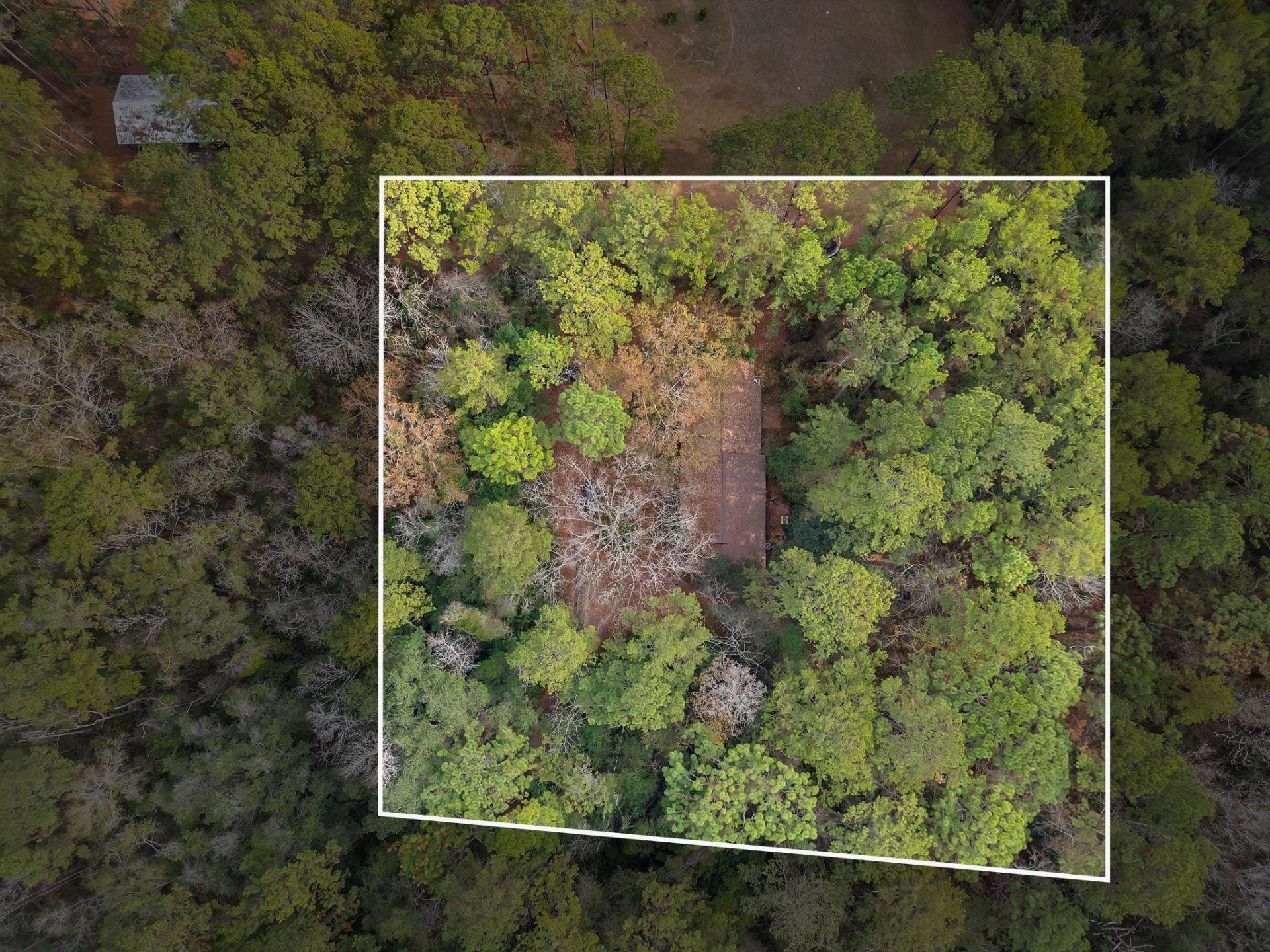 7091,7115+ Thomasville Road , Tallahassee, FL 32312 Photo