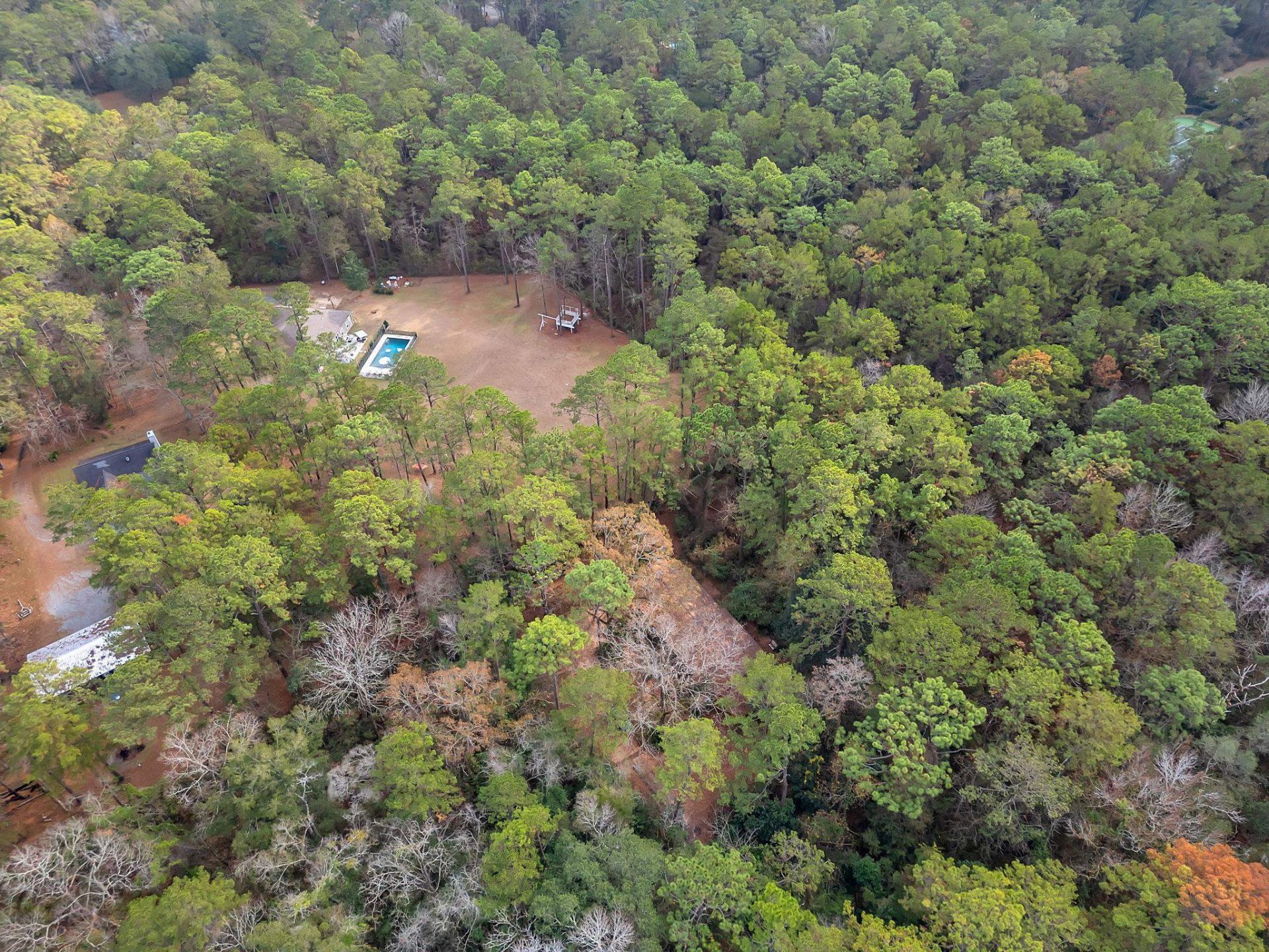 7091,7115+ Thomasville Road , Tallahassee, FL 32312 Photo