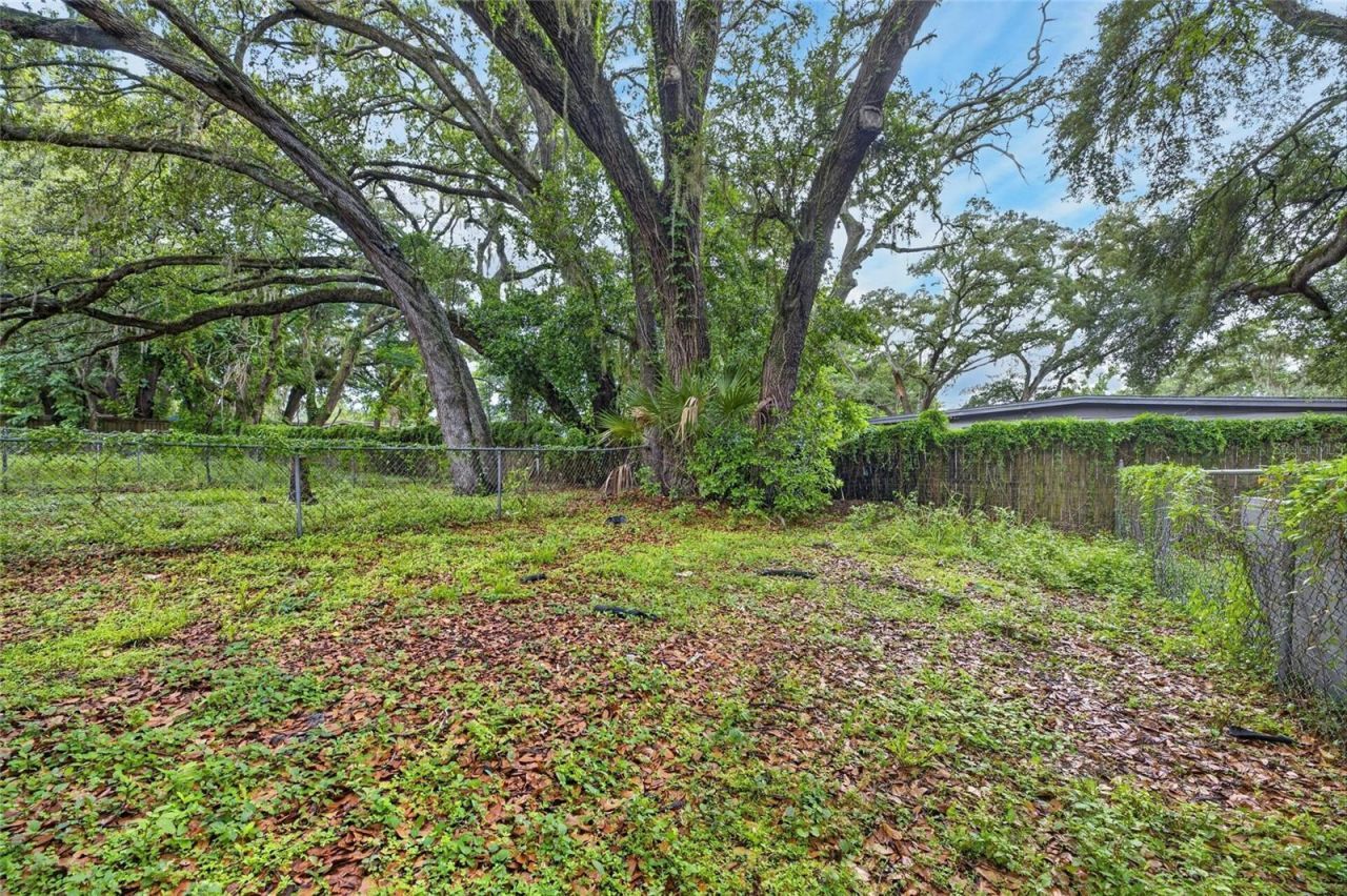 8723 & 8724 N 48th Street , Tampa, FL 33617 Photo