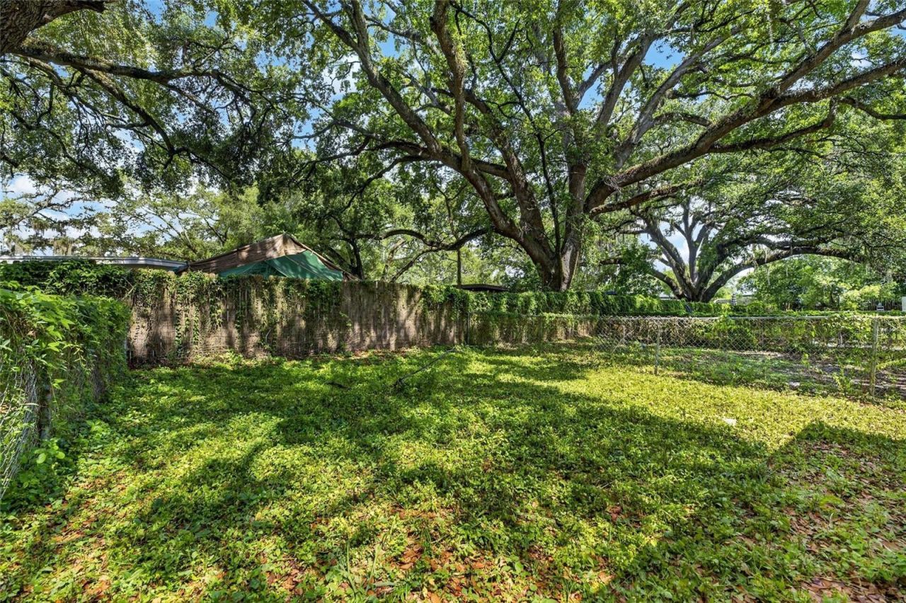 8726 & 8728 N 48th Street , Tampa, FL 33617 Photo