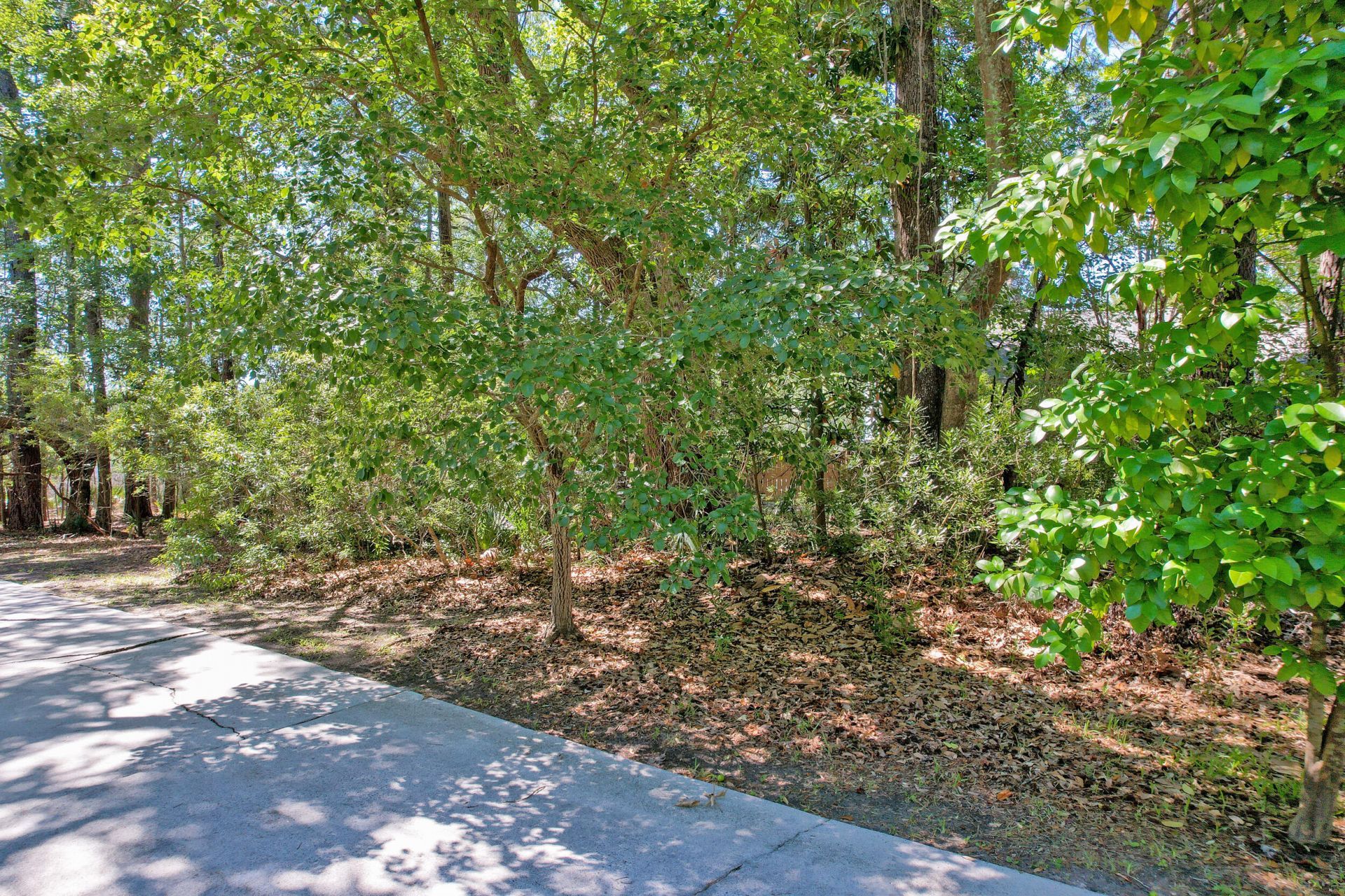 0 Marsh Flower Lane Photo 5