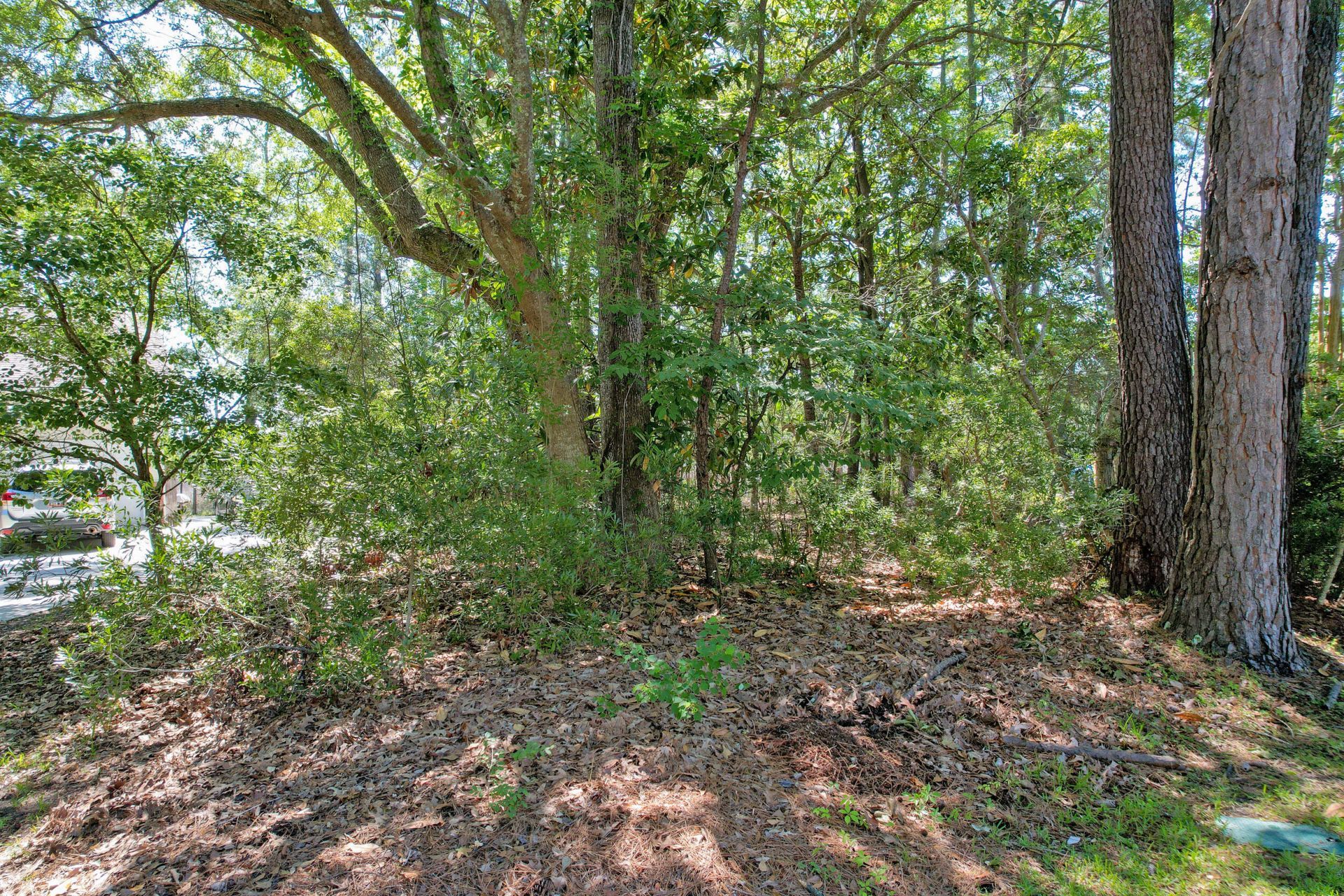 0 Marsh Flower Lane Photo 6