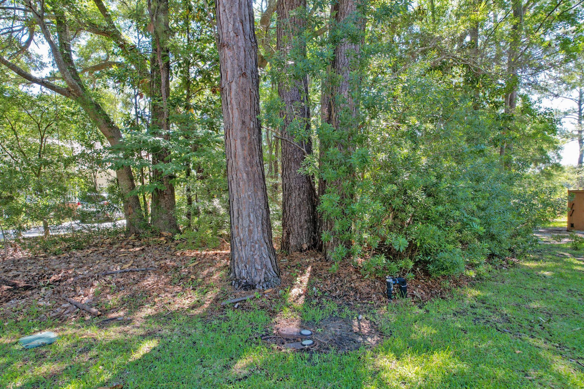 0 Marsh Flower Lane Photo 7