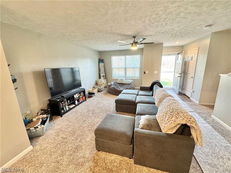 117 Fall Lake Lane, Amherst, OH 44001 Photo 3