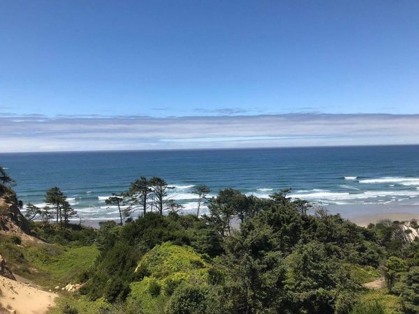 0 Forest Street, Unit 1400, Newport, OR 97365