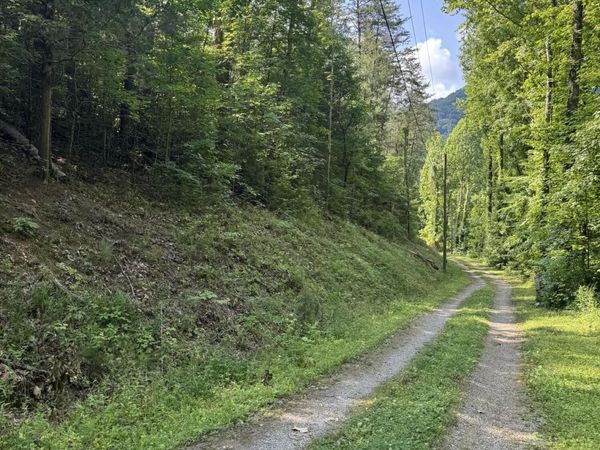 Lot 23 Walden Ridge Road, Sevierville, TN 37862