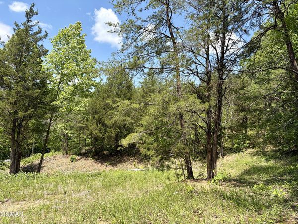 Lot 7 Burchfiel Way, Sevierville, TN 37876