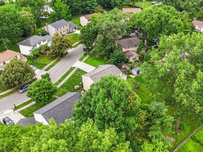 909 Prince William Lane , Westerville, OH 43081 Photo 61