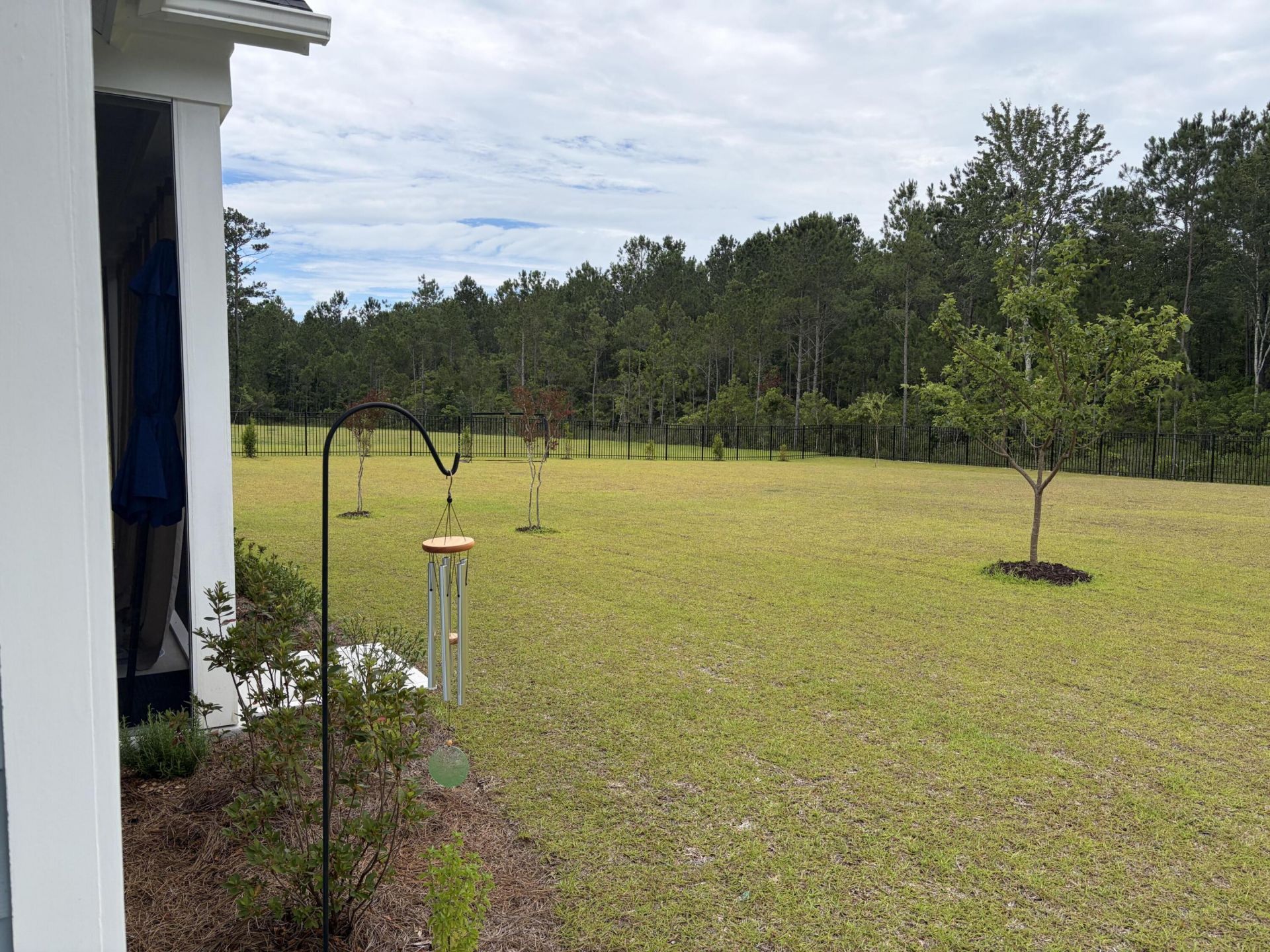 9275 Blue Jay Photo 14