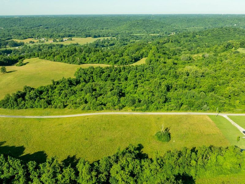 - Poplar Thicket Road, Alexandria, KY 41001 Photo 4
