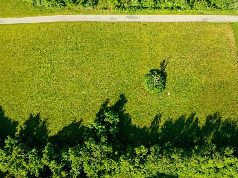 - Poplar Thicket Road, Alexandria, KY 41001 Photo 7