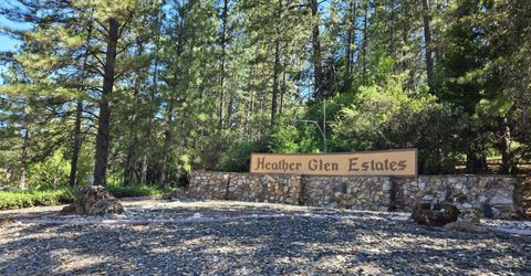18607 Dunvegan Dr, Applegate, CA 95703 Photo