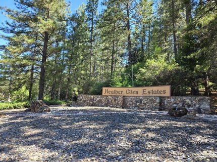 18607 Dunvegan Dr, Applegate, CA 95703 Photo