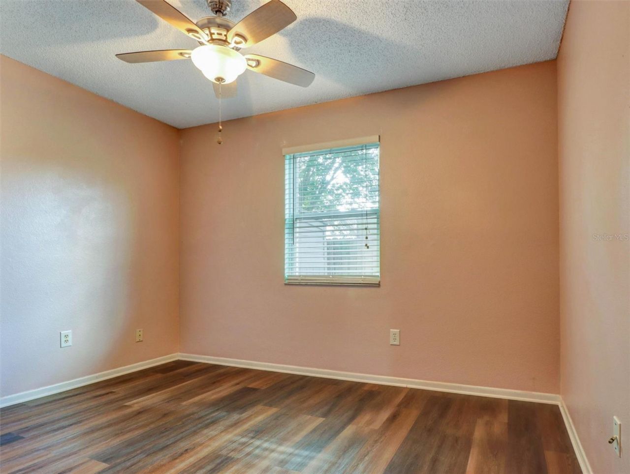 2021 Todd Road, Clearwater, FL 33763 Photo