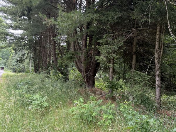 23250 W Wood Lake Road, Pierson, MI 49339