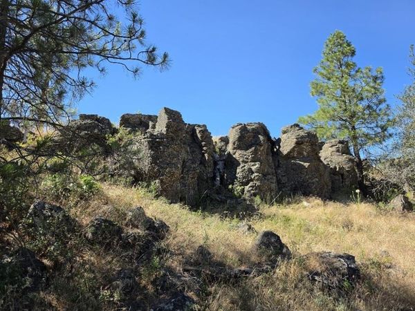 21301 S Harrison Rd, Edwall, WA 99008