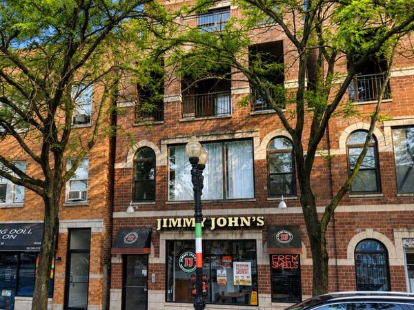1133 W Taylor Street, Unit 3, Chicago, IL 60607