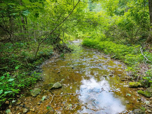 68 Clure Brown Rd , Westmoreland, TN 37186