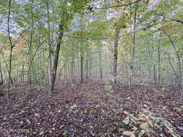 Lot 7 Crest View Drive, Sunbright, TN 37872