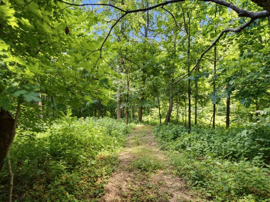 Property Image 53