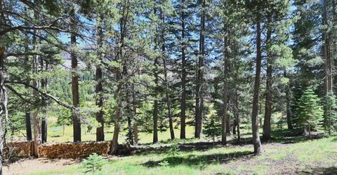 34040 Yarrow Place, Kirkwood, CA 95646 Photo