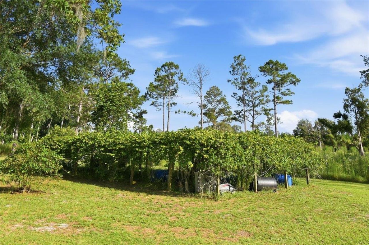 4567 Loren Henderson Rd , Perry, FL 32347 Photo