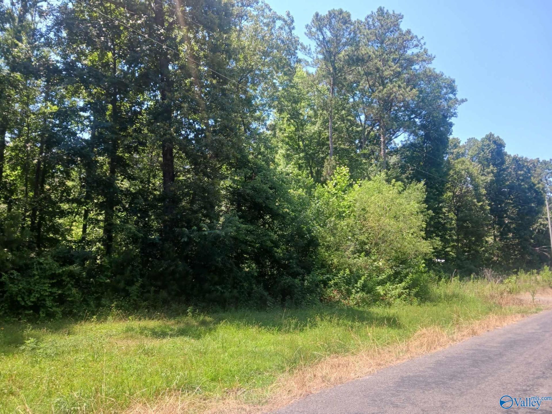 1.15 County Road 126, Pisgah, AL 35765 Main Photo