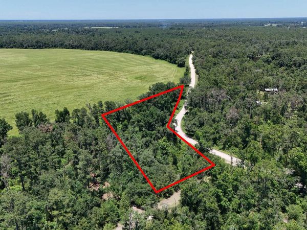 0 NE LEEK TRL, Lee, FL 32059