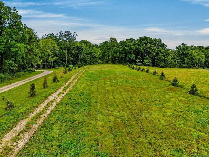 3697 Sitterley Road NW, Canal Winchester, OH 43110 Photo 5