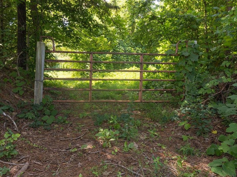 Property Image 43
