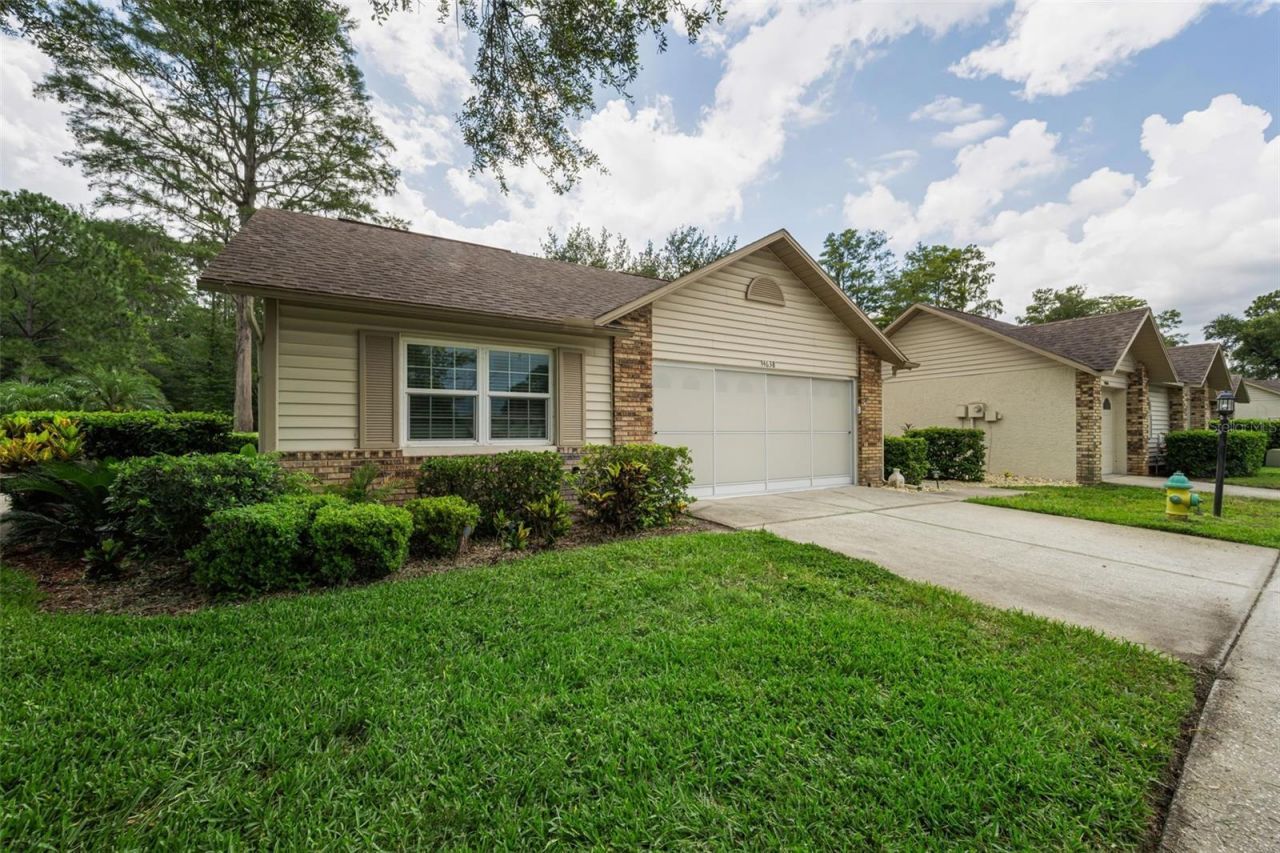 4638 Sheffield Drive, New Port Richey, FL 34655 Photo