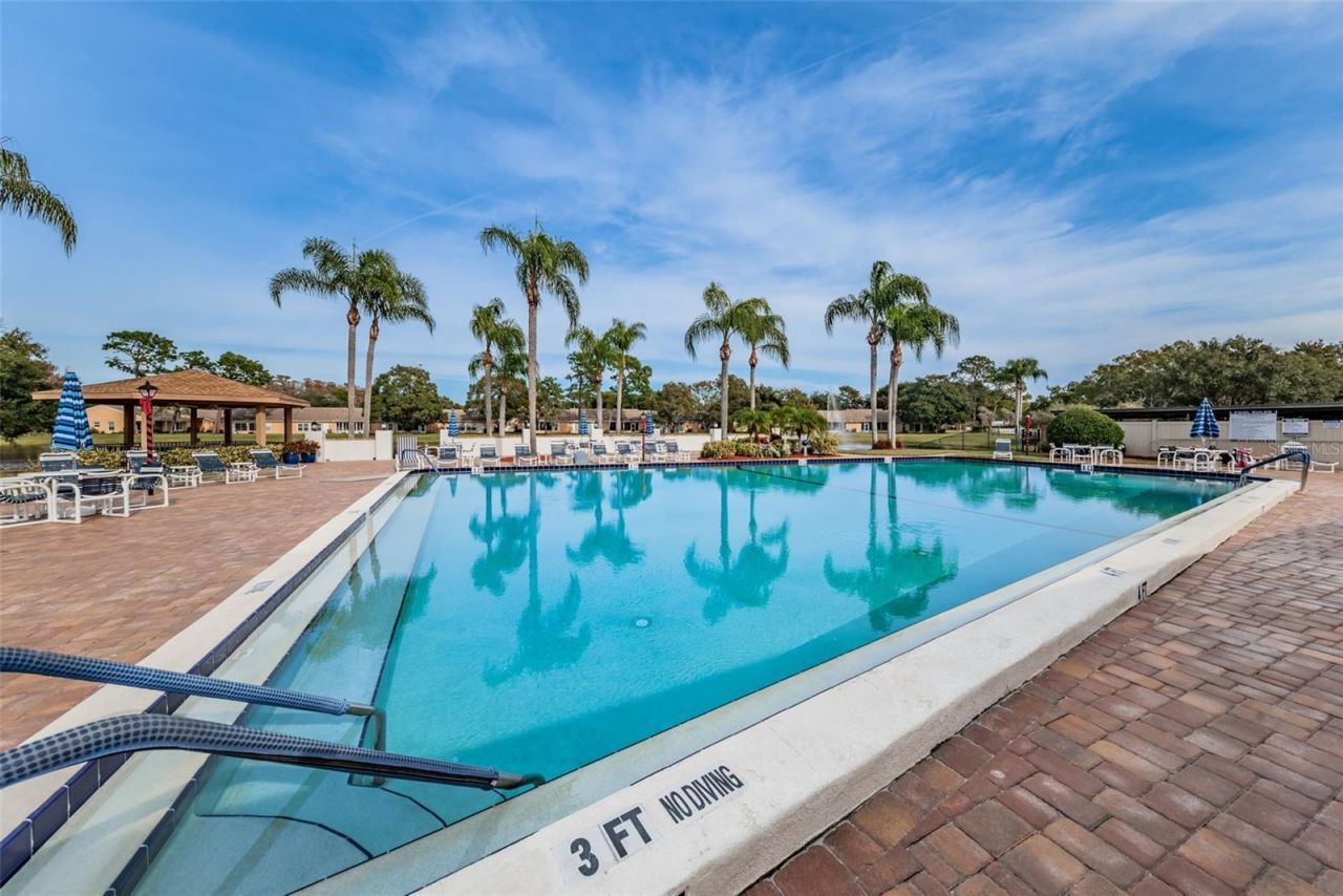 4638 Sheffield Drive, New Port Richey, FL 34655 Photo