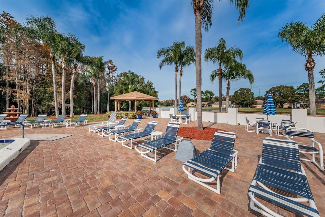 4638 Sheffield Drive, New Port Richey, FL 34655 Photo