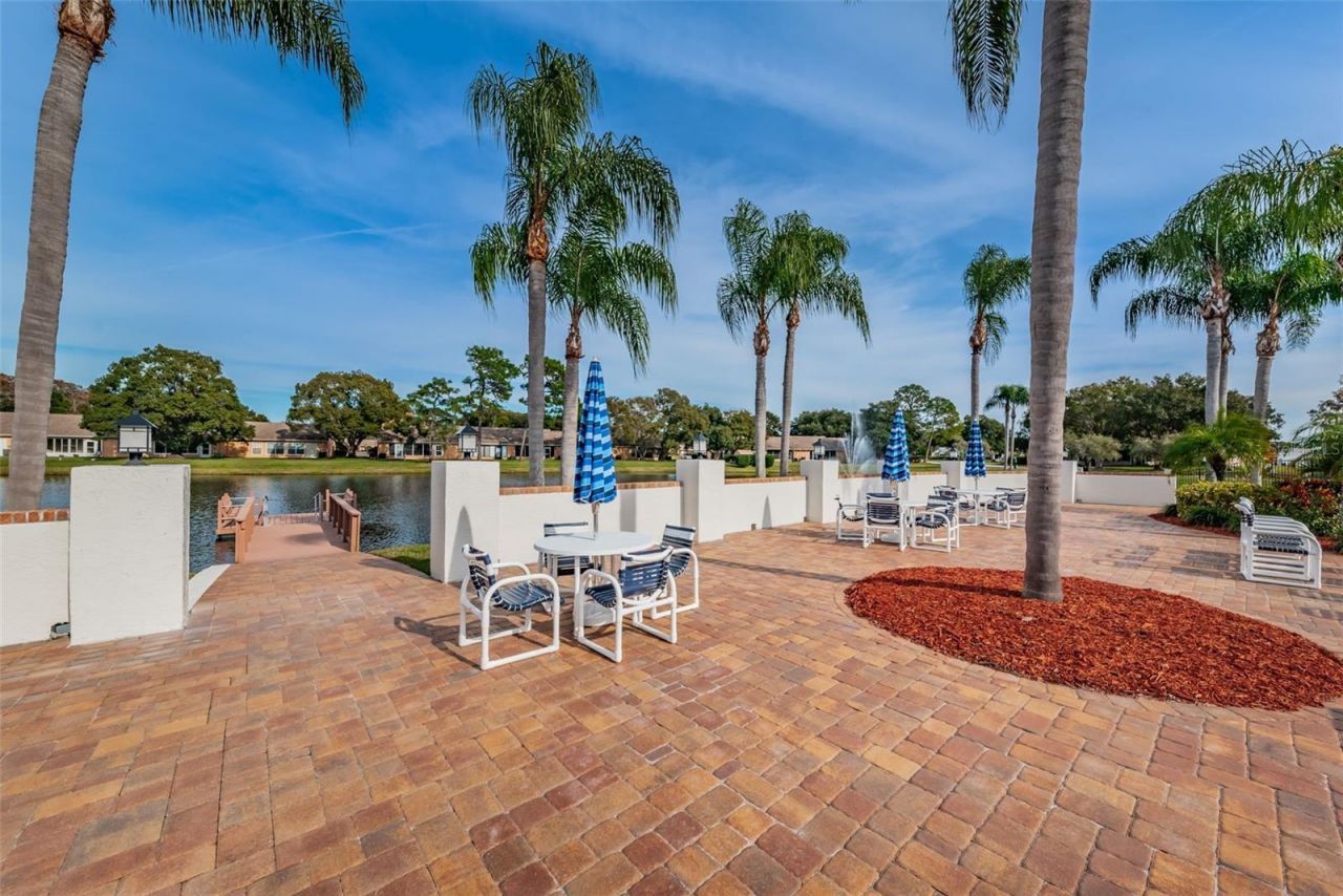 4638 Sheffield Drive, New Port Richey, FL 34655 Photo