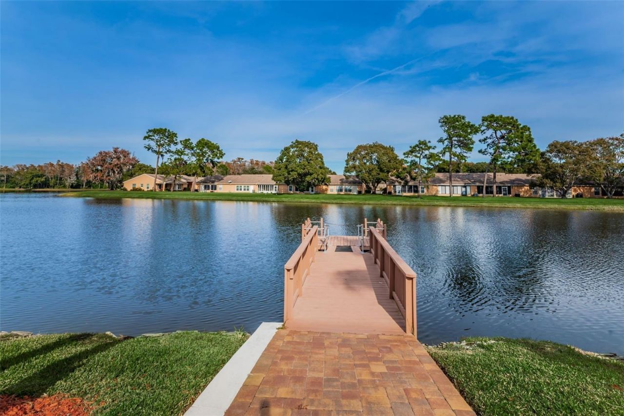 4638 Sheffield Drive, New Port Richey, FL 34655 Photo