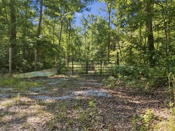 9 Dollar LN , Altamont, TN 37301