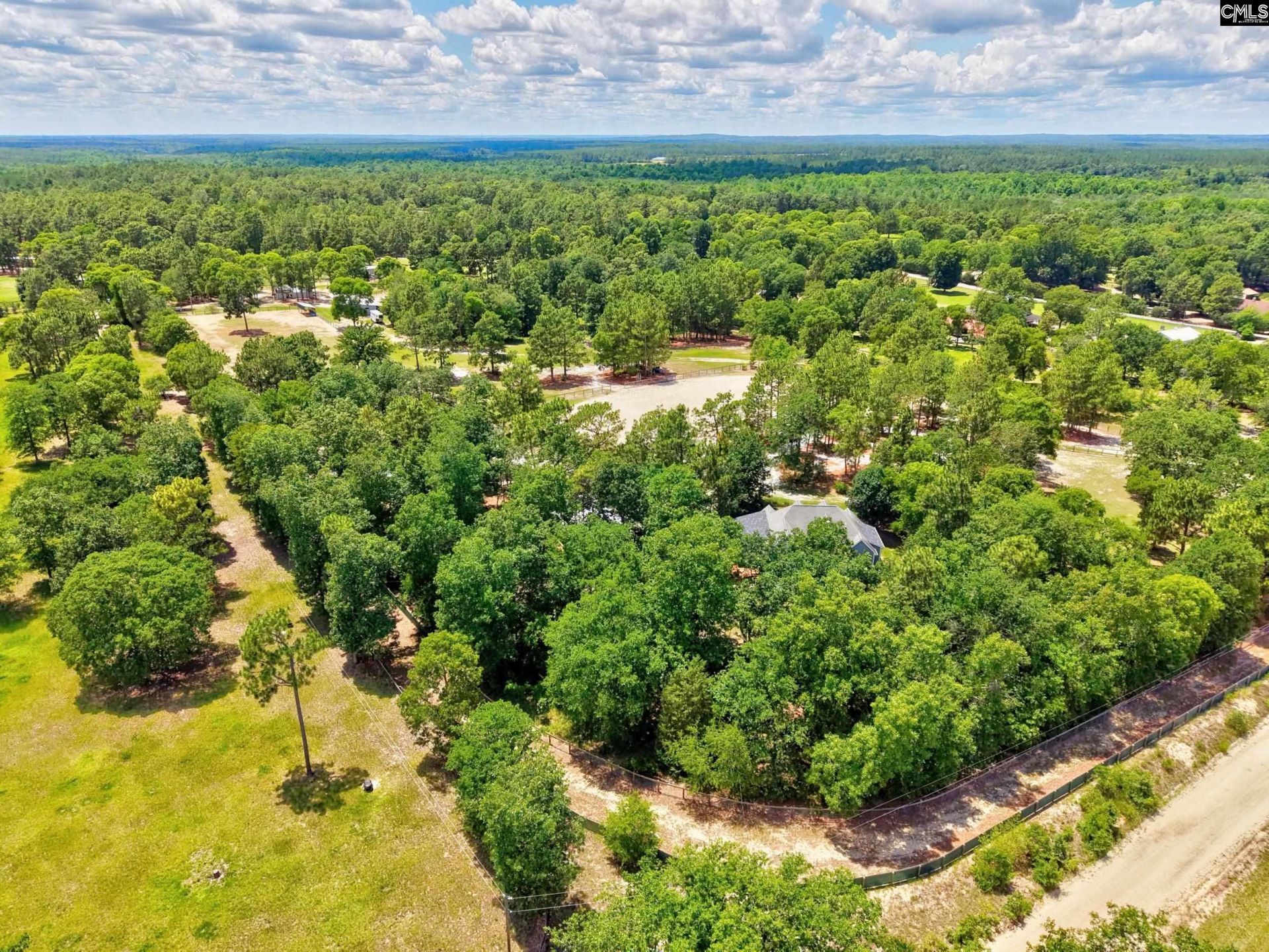 1377 Pine Road  Photo 14