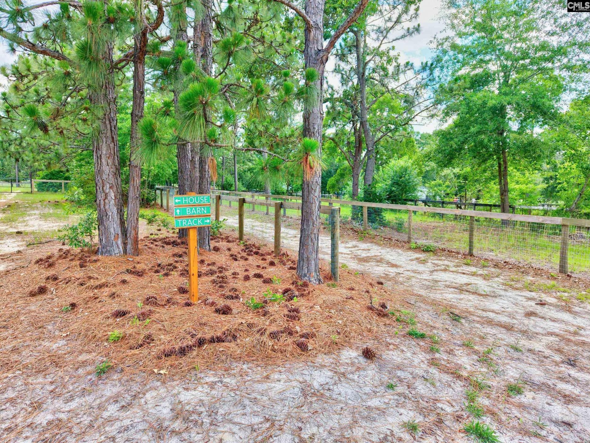 1377 Pine Road  Photo 15