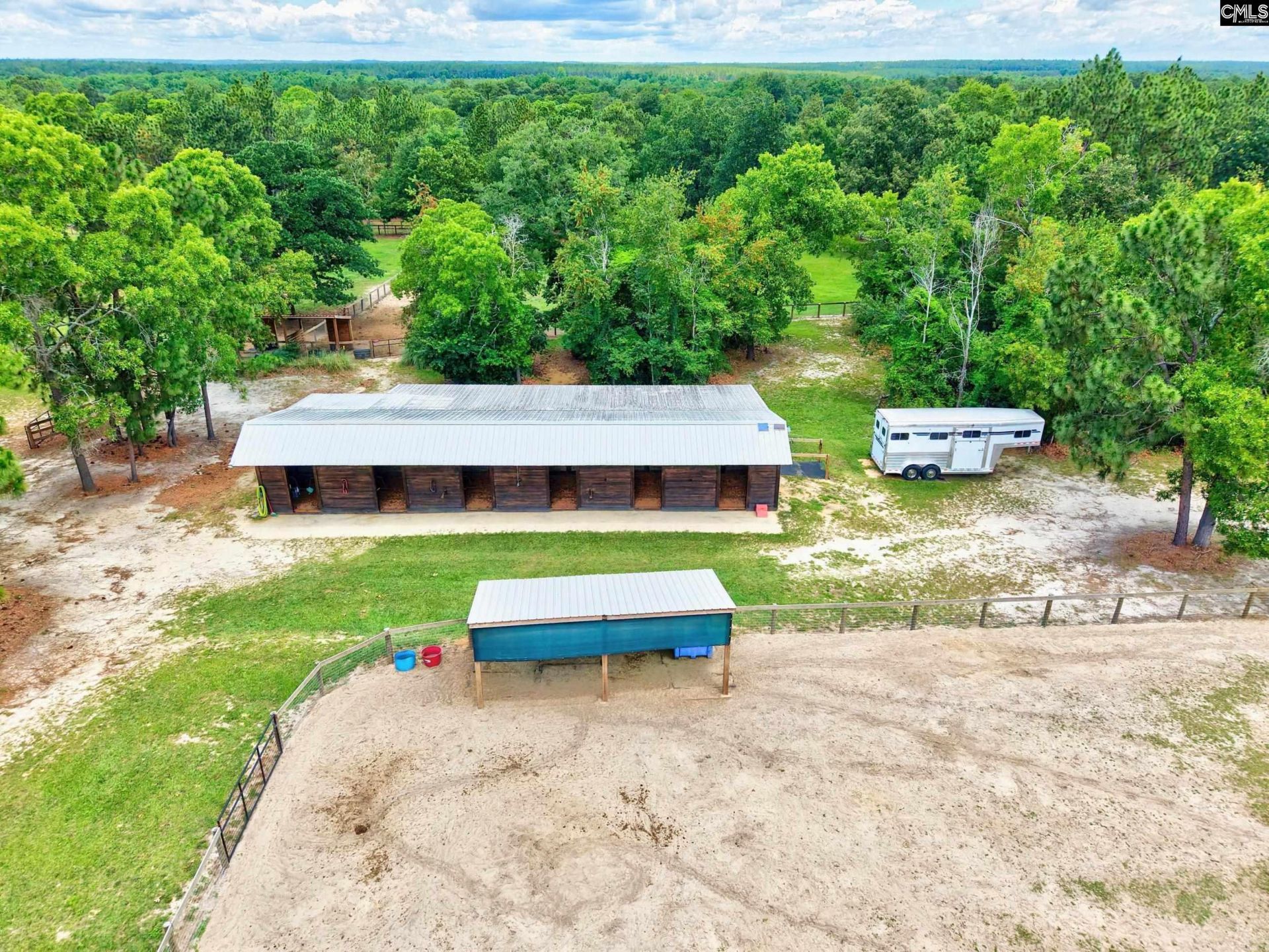 1377 Pine Road  Photo 16