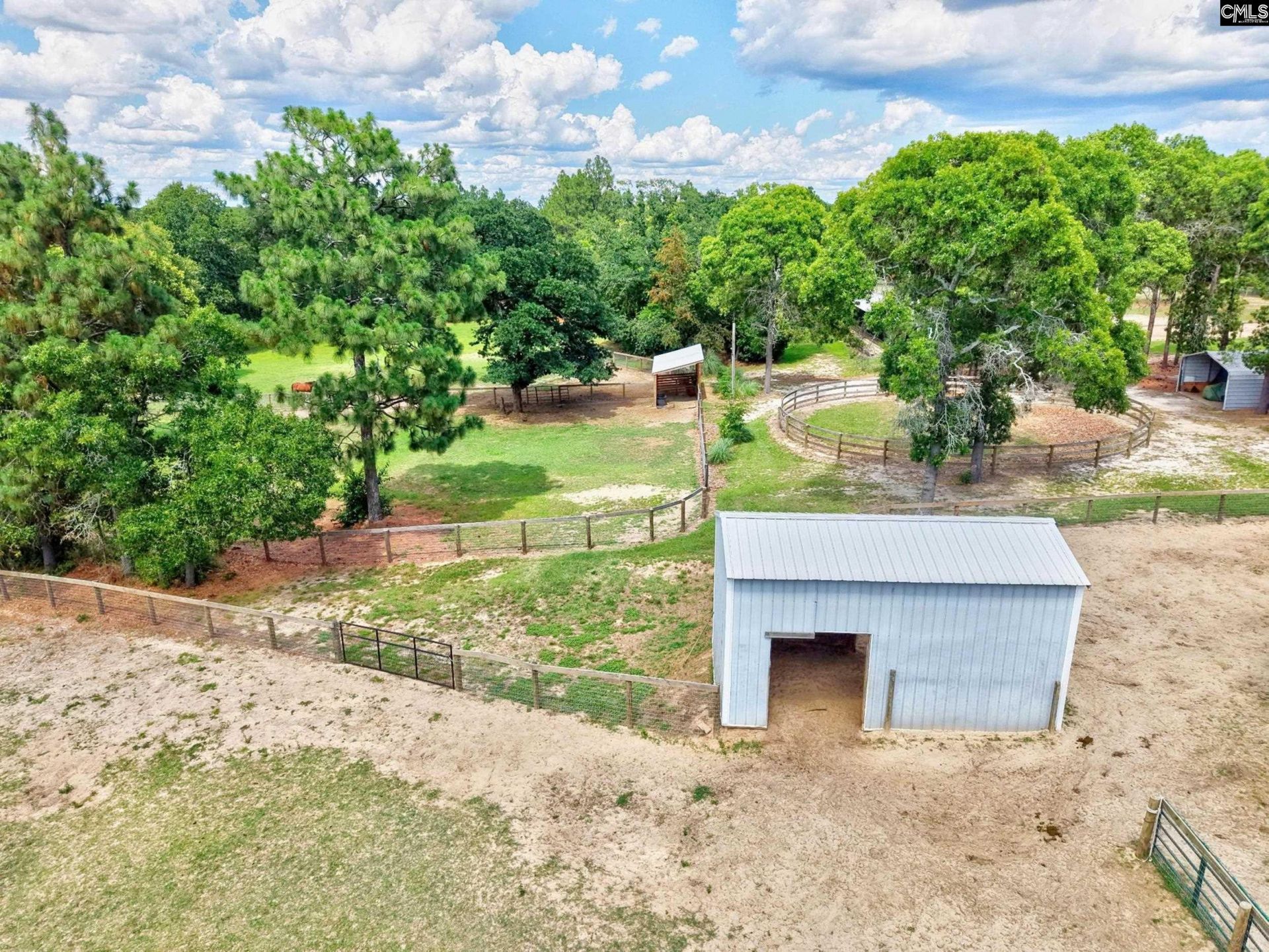 1377 Pine Road  Photo 17