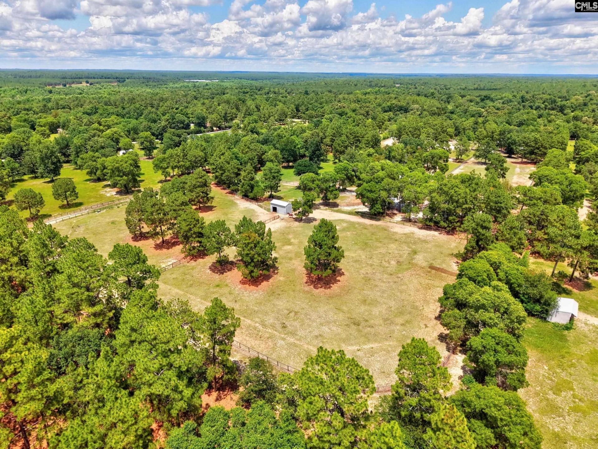 1377 Pine Road  Photo 18