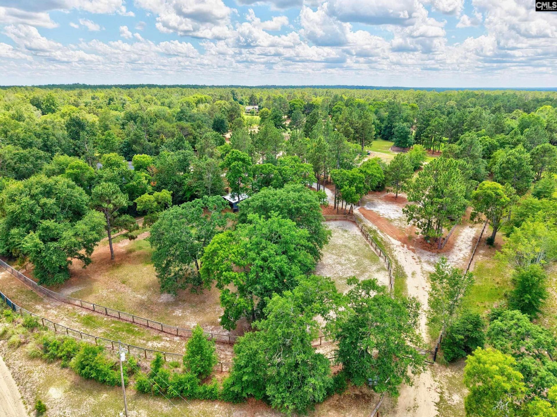 1377 Pine Road  Photo 19