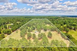 1377 Pine Road  photo 4