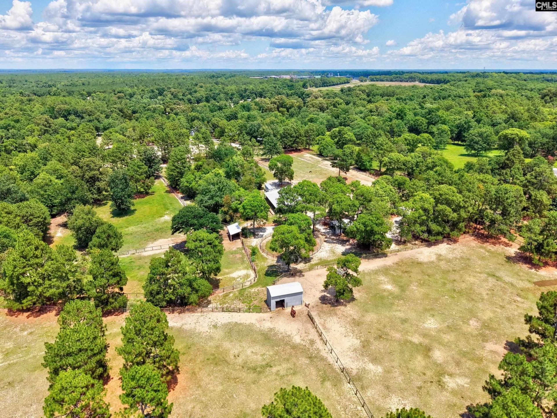 1377 Pine Road  Photo 20