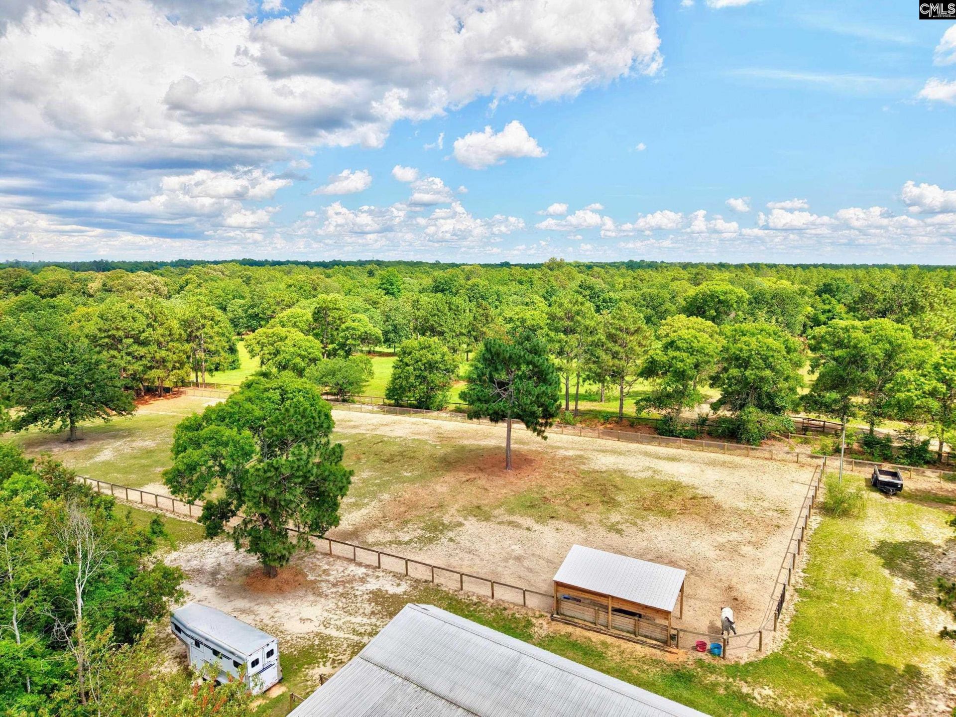 1377 Pine Road  Photo 21