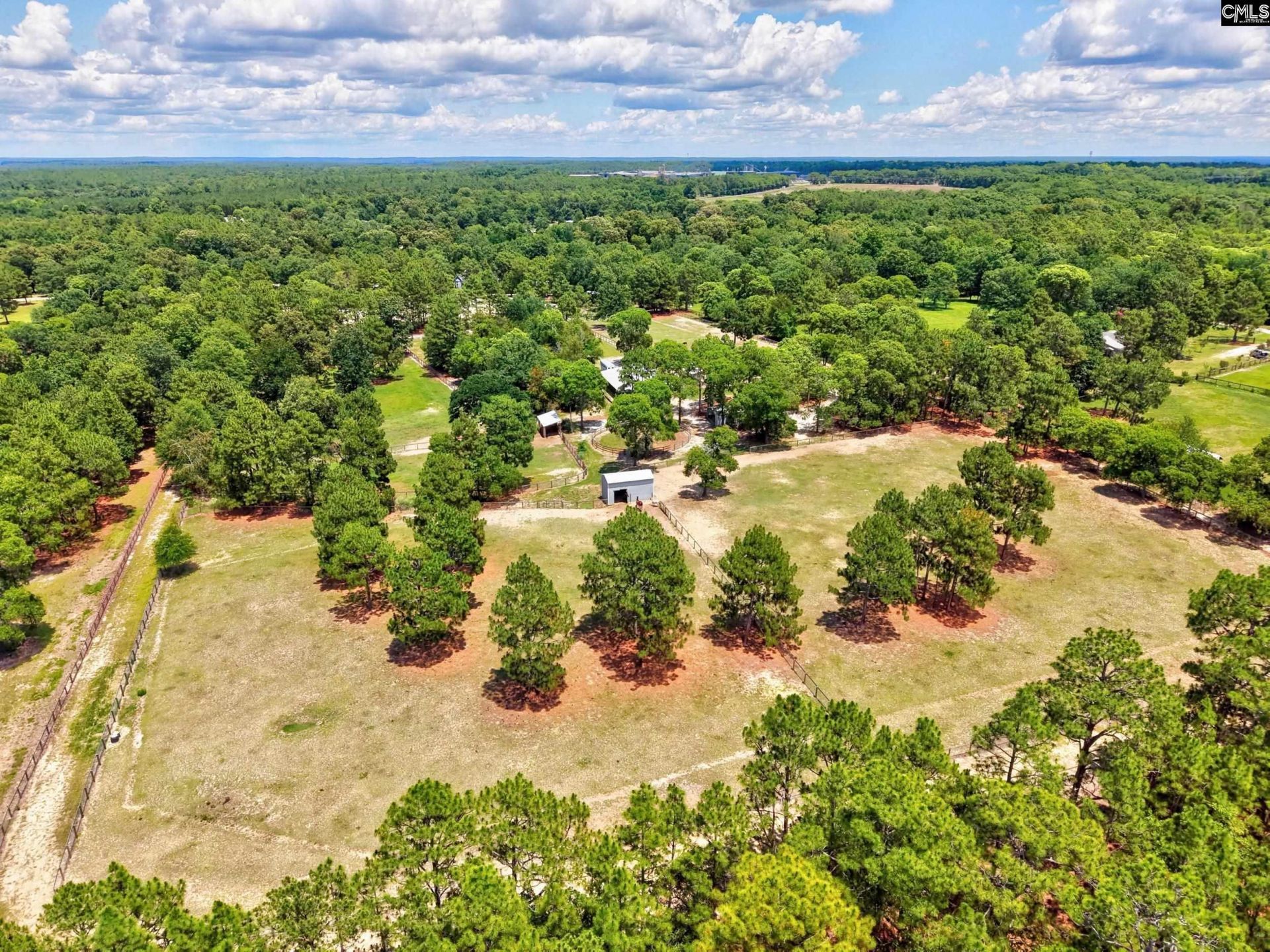 1377 Pine Road  Photo 22