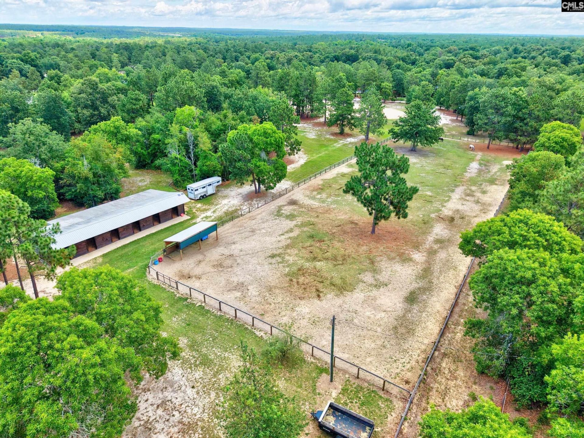 1377 Pine Road  Photo 23