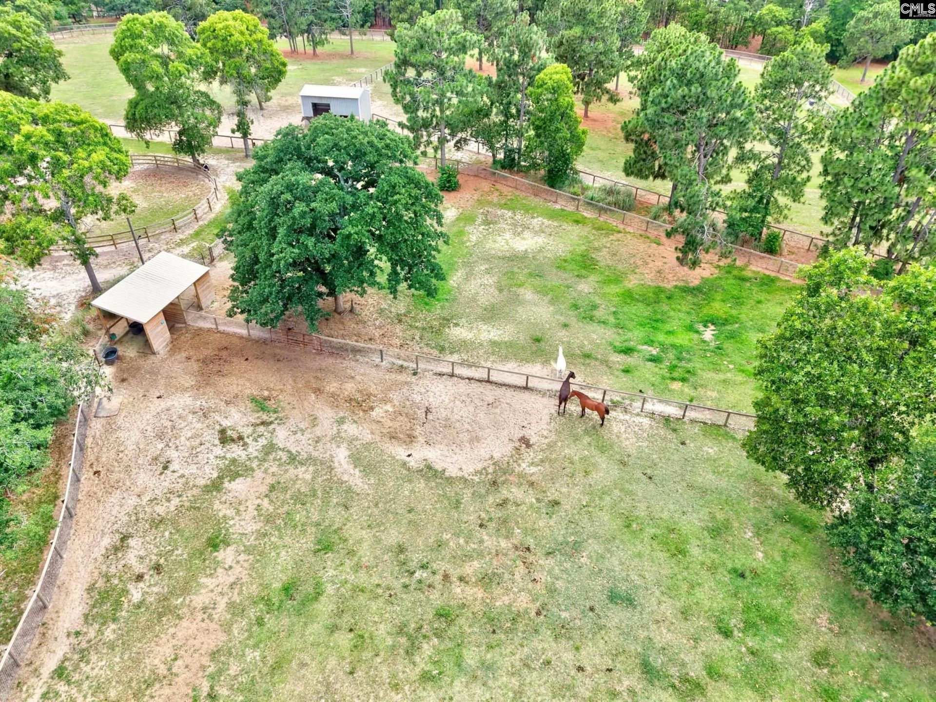1377 Pine Road  Photo 24